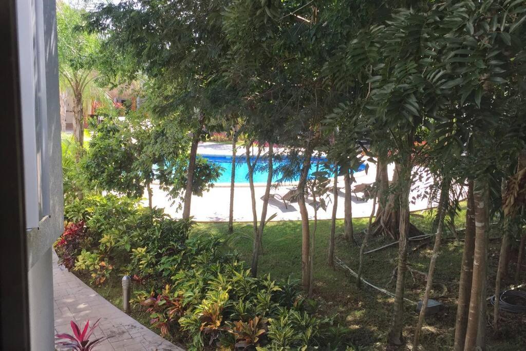 Summer Tip Gogh With Sportclub Сasa de vacaciones Playa del Carmen