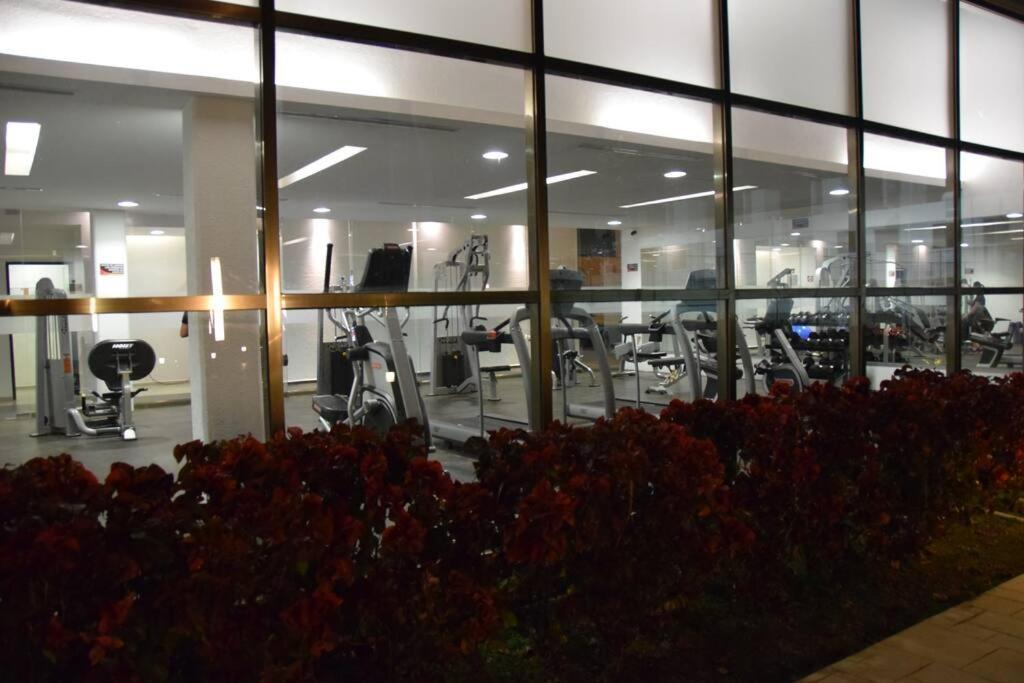 Summer Tip Gogh With Sportclub Playa del Carmen